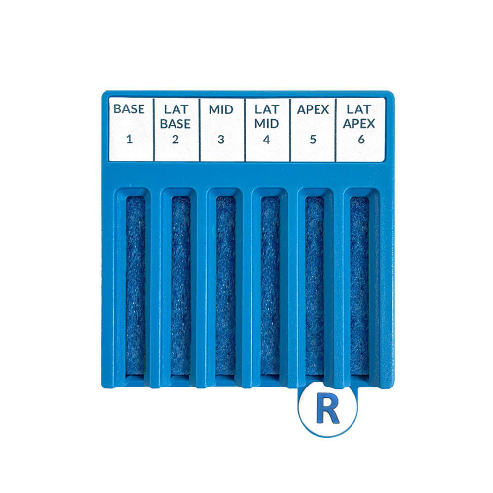 BxBoard® Transrectal Right Board