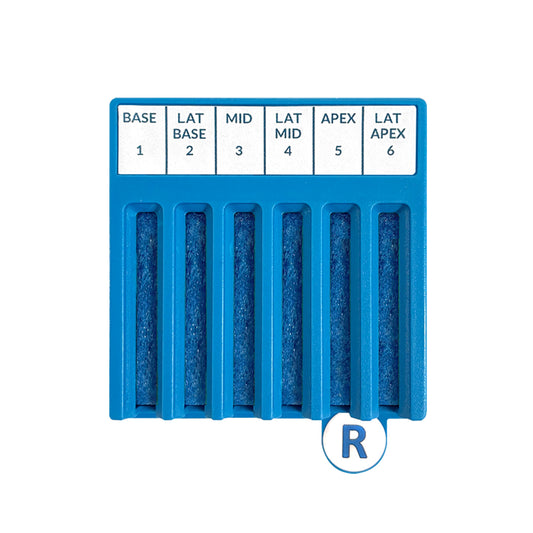 BxBoard® Transrectal Right Board