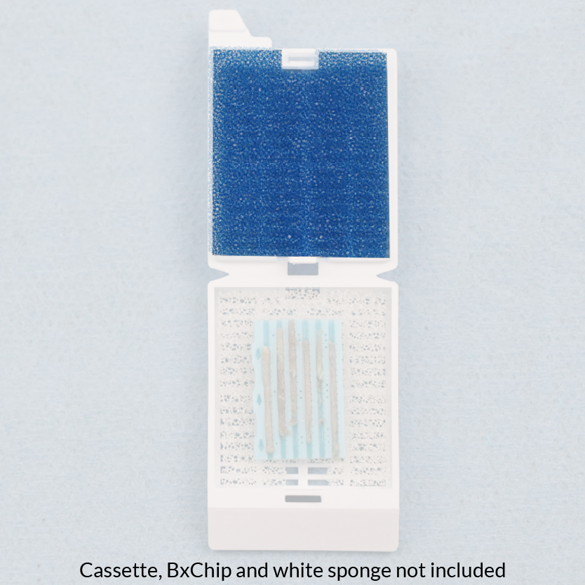 Cassette Sponge Blue