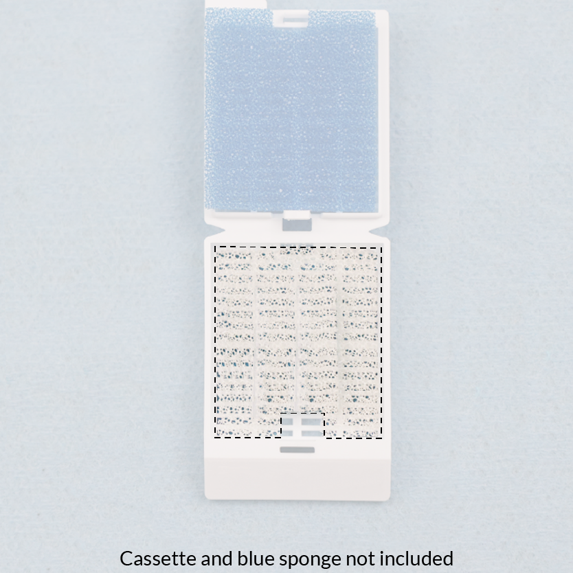 Cassette Sponge White