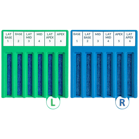 BxBoard® Transrectal Prostate Kit 12-Site