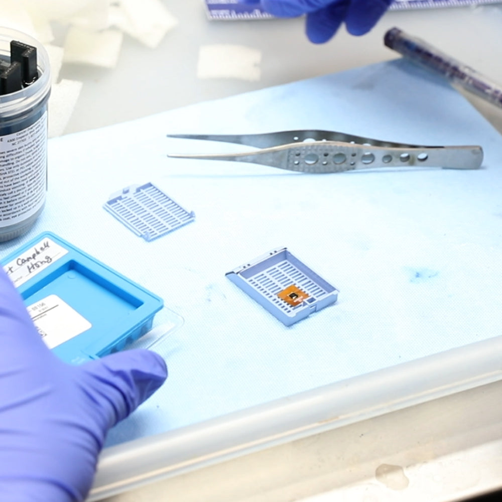 RFID Tags (1-count)