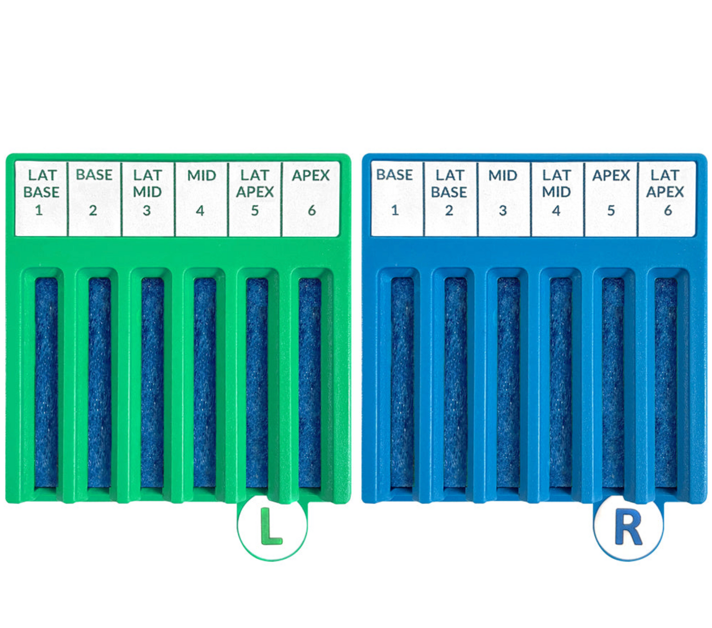 TEST - 12 Site 2 BxBoard Kit