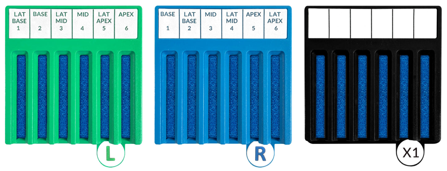 2-3 BxBoard® Kit