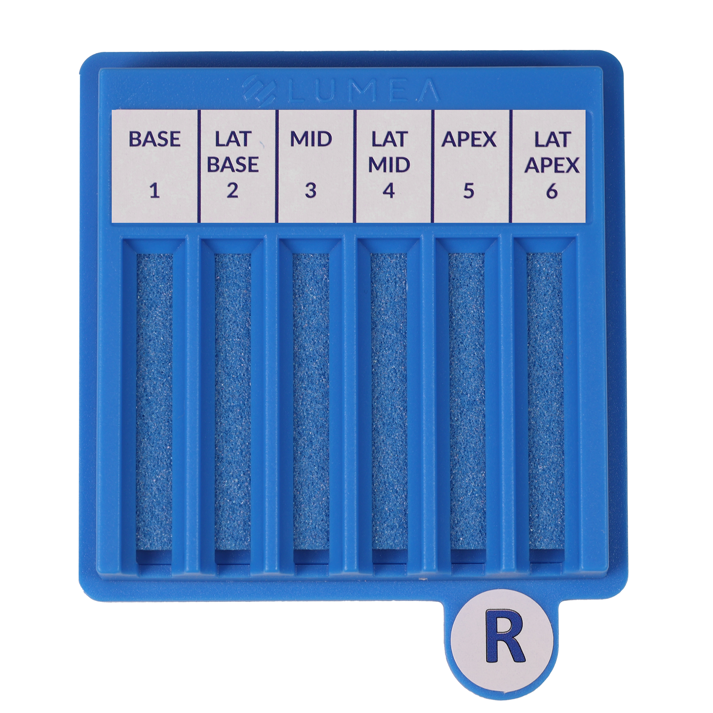 BxBoard® Right (Bulk)