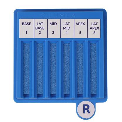 BxBoard® Right (Bulk)