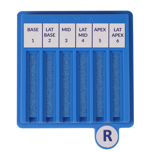 BxBoard® Right (Bulk)