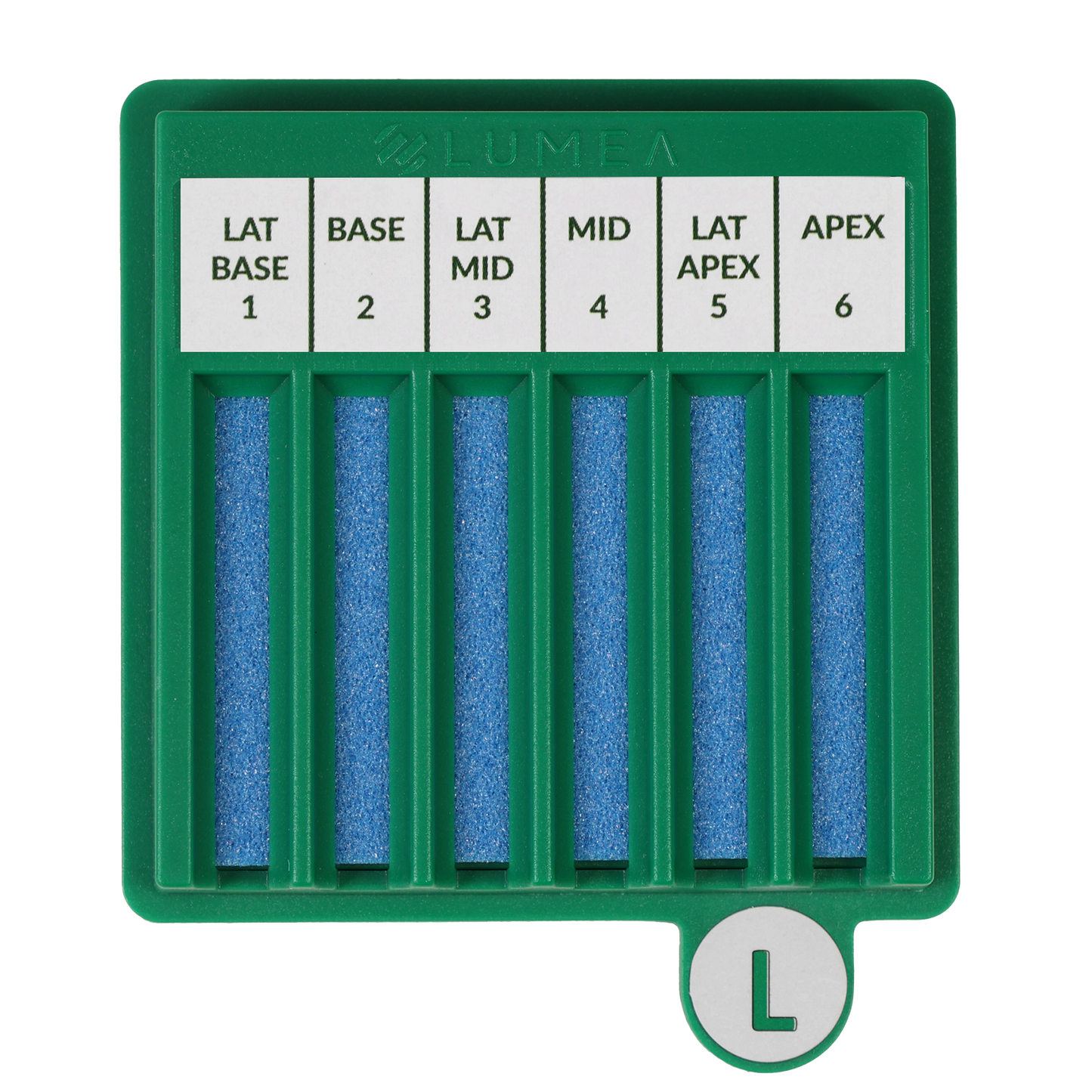 BxBoard® Left (Bulk)