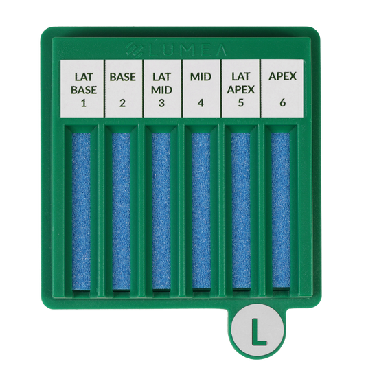 BxBoard® Left (Bulk)