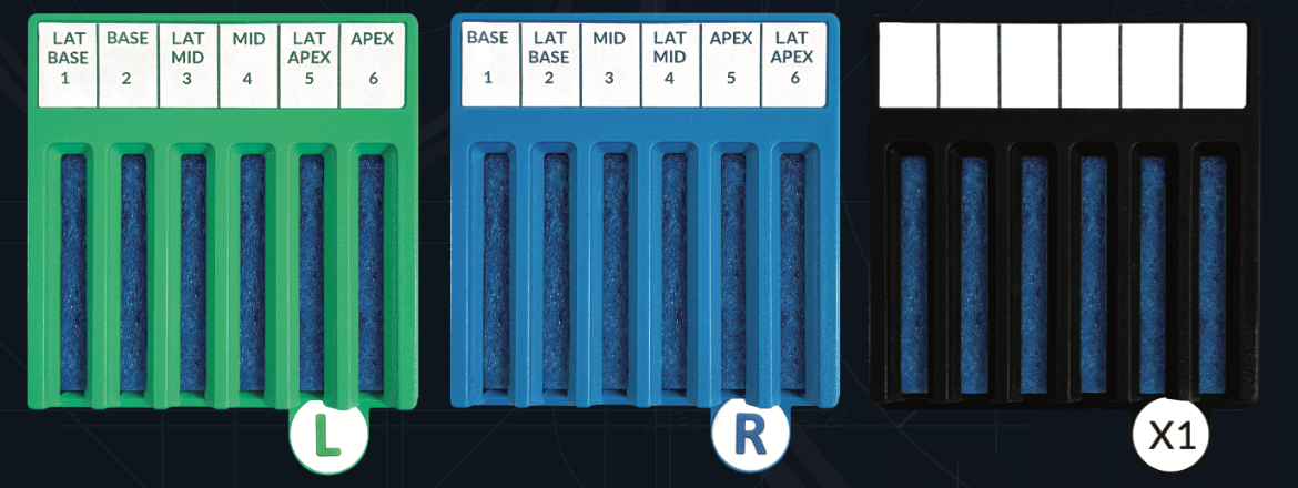 BxBoard® Onboarding Kits