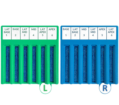 2-3 BxBoard® Kit