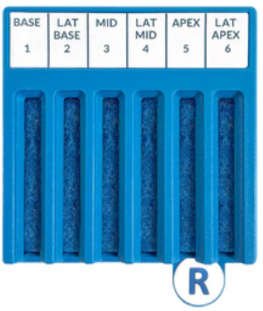 Right BxBoard: B-LB-M-LM-A-LA (No RFID Tag)